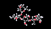 Neomycin antibiotic drug, molecular model