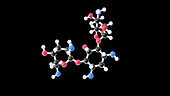 Tobramycin antibiotic drug, molecular model