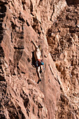 Climber climbing The Theater, Utah, USA