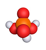 Phosphoric acid, molecular model