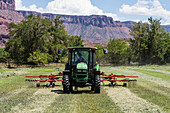 Rotary rake combining rows of hay