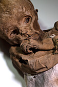 Infant human male mummy, Museum of Mummies, Quinto, Spain