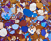 Bunter sandstone, light micrograph