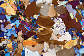 Gneiss, thin section, 60:1