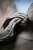 Hands of a mummy at the Museum of the Mummies, Spain