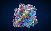 Protein, illustration