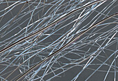 Nanofibres, artwork