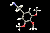 Mescaline drug molecule, illustration