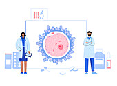 Embryo development, conceptual illustration