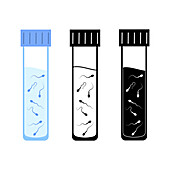Sperm samples, illustration