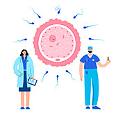 IVF, illustration