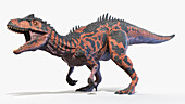Allosaurus, illustration