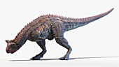Carnotaurus, illustration