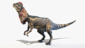 Dilophosaurus, illustration
