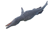 Kronosaurus, illustration