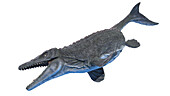 Mosasaurus, illustration