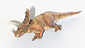Pentaceratops, illustration