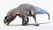 Torvosaurus, illustration