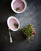 Red cabbage soup with leek and coconut milk