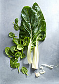 Spinach Family ID - L-R - English Spinach, Spinach, Rainbow Chard, Baby Spinach