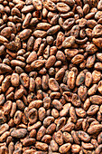 Cocoa beans, full frame