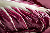 Red chicory