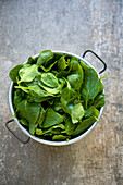 Baby spinach leaves in a colander