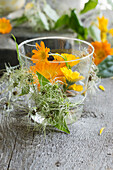 Glasvase umwickelt mit Clematis-Fruchtständen, gefüllt mit Ringelblumem (Calendula officinalis)