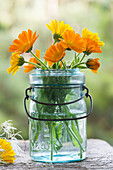 Bouquet of marigolds in a jar