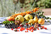 Still life with various autumn fruits