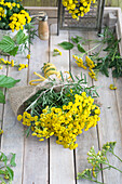 Bouquet of tansy (Tanacetum vulgare)