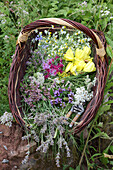 Basket of skin-friendly medicinal plants