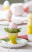 Breakfast egg with cress in an egg cup