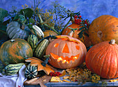 Halloween pumpkin and various types of pumpkins