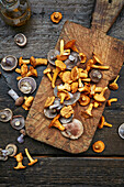 Selection of freshly picked mushrooms on a wooden board