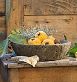 Quinces, calecephalus, walnut leaves and walnuts in natural stone bowl