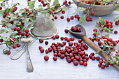 Hawthorn berries