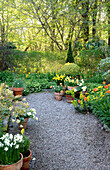 White and yellow potted plants along a garden path