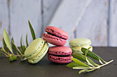 Pistachio and black currant macarons with olive branches