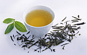 Green tea (Bancha, Japan) and fresh tea leaves