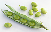 A pod of broad beans and individual beans on a light background