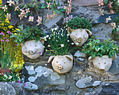 Verschiedene Kräutern in lustigen Pflanztöpfen an Gartenmauer