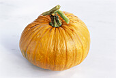 A pumpkin on a light background (variety: Jack be Little, Jack o' Lantern)