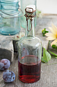 Homemade plum liqueur