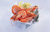 Bowl with prawns, lemon and dill on a light background