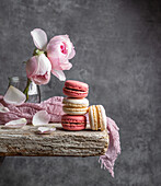 Zweierlei Macarons mit rosa Rosen auf Holztisch