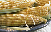 Fresh corn on the cob in a bowl