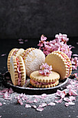 Alfajores, delicious traditional Argentine sandwich cookies filled with cream