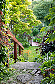Treppe zwischen japanischem Ahorn und Kupferahorn im Garten