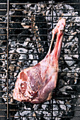 Raw leg of lamb on a grill (Churrasco preparation)